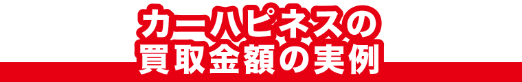 カーハピネスの買取金額の実例 M